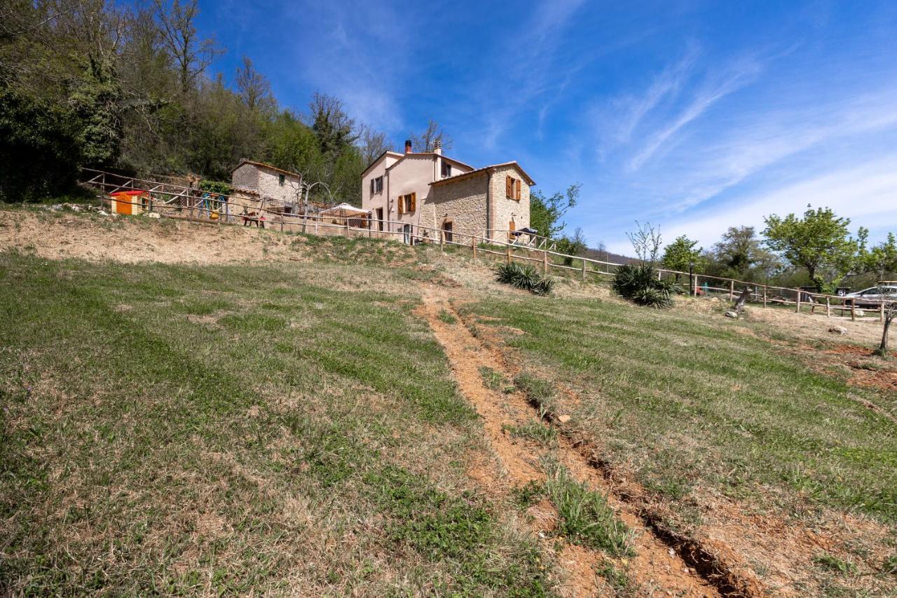 Podere Del Ciacchi Among Tuscany Greenery - Happy Rentals Montieri Экстерьер фото
